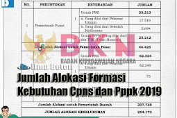 Jumlah Alokasi Formasi Kebutuhan Cpns dan Pppk 2019
